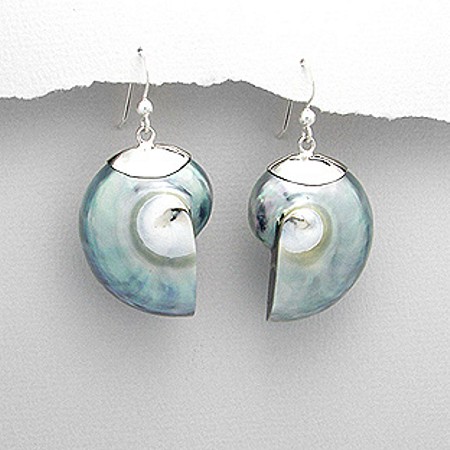 Sterling Silver Grey Nautilus Shell Earrings - Click Image to Close